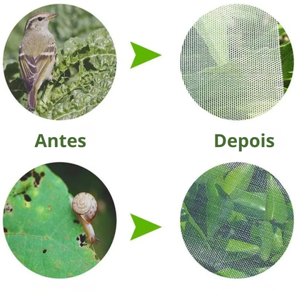 Sacos De Malha Respiráveis Reutilizáveis Para Proteção De Frutas E Vegetais – Proteja Contra Insetos, Moscas-Das-Frutas E Pássaros (TH)