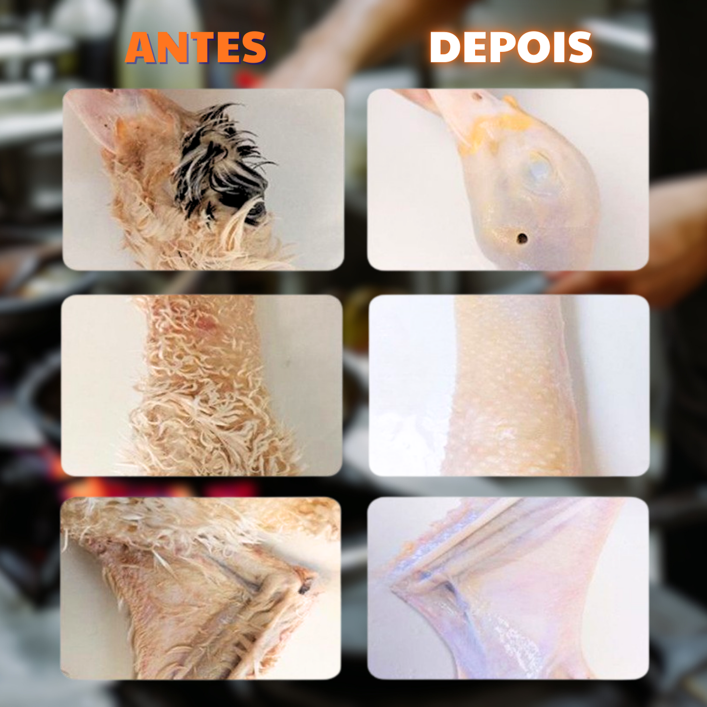 Depenador de Aves Portátil e Manual