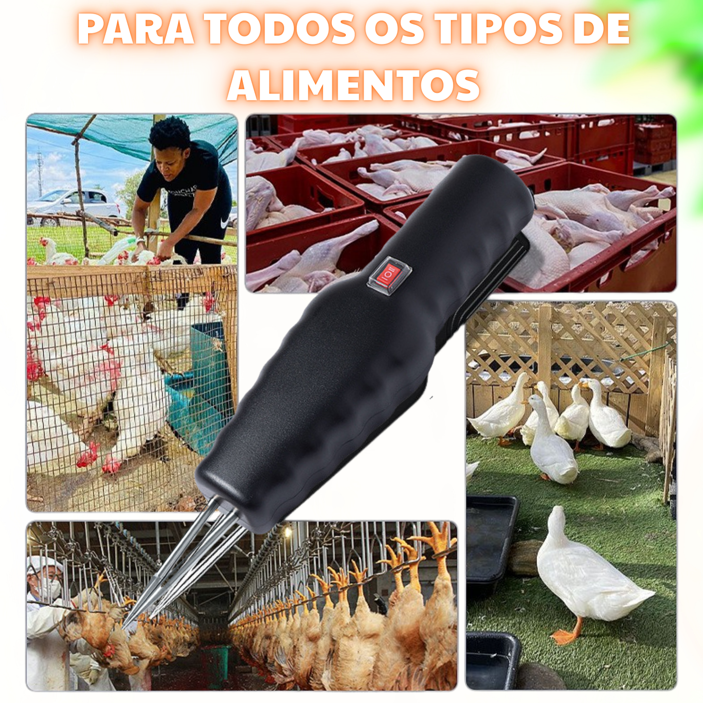 Depenador de Aves Portátil e Manual