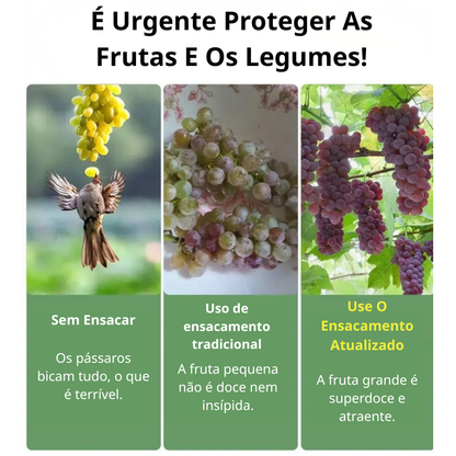 Sacos De Malha Respiráveis Reutilizáveis Para Proteção De Frutas E Vegetais – Proteja Contra Insetos, Moscas-Das-Frutas E Pássaros (TH)