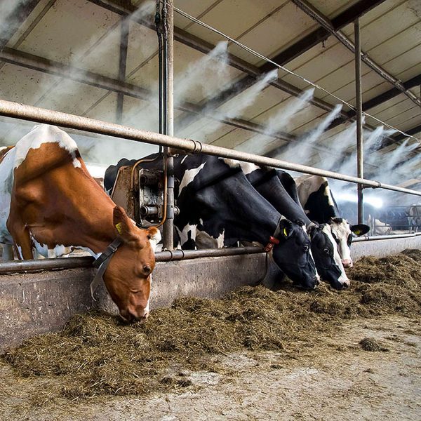 Mangueira De Irrigação Para Jardim 15 Metros Com Bicos De Névoa – Sistema De Resfriamento Por Névoa, Fácil De Instalar