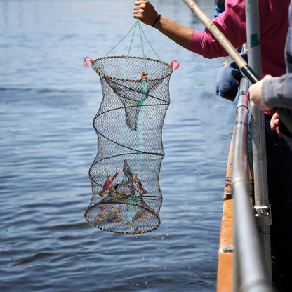 Gaiola de pesca dobrável - Design espesso e sem nós para camarão e enguia, perfeita para pesca em rios e lagos