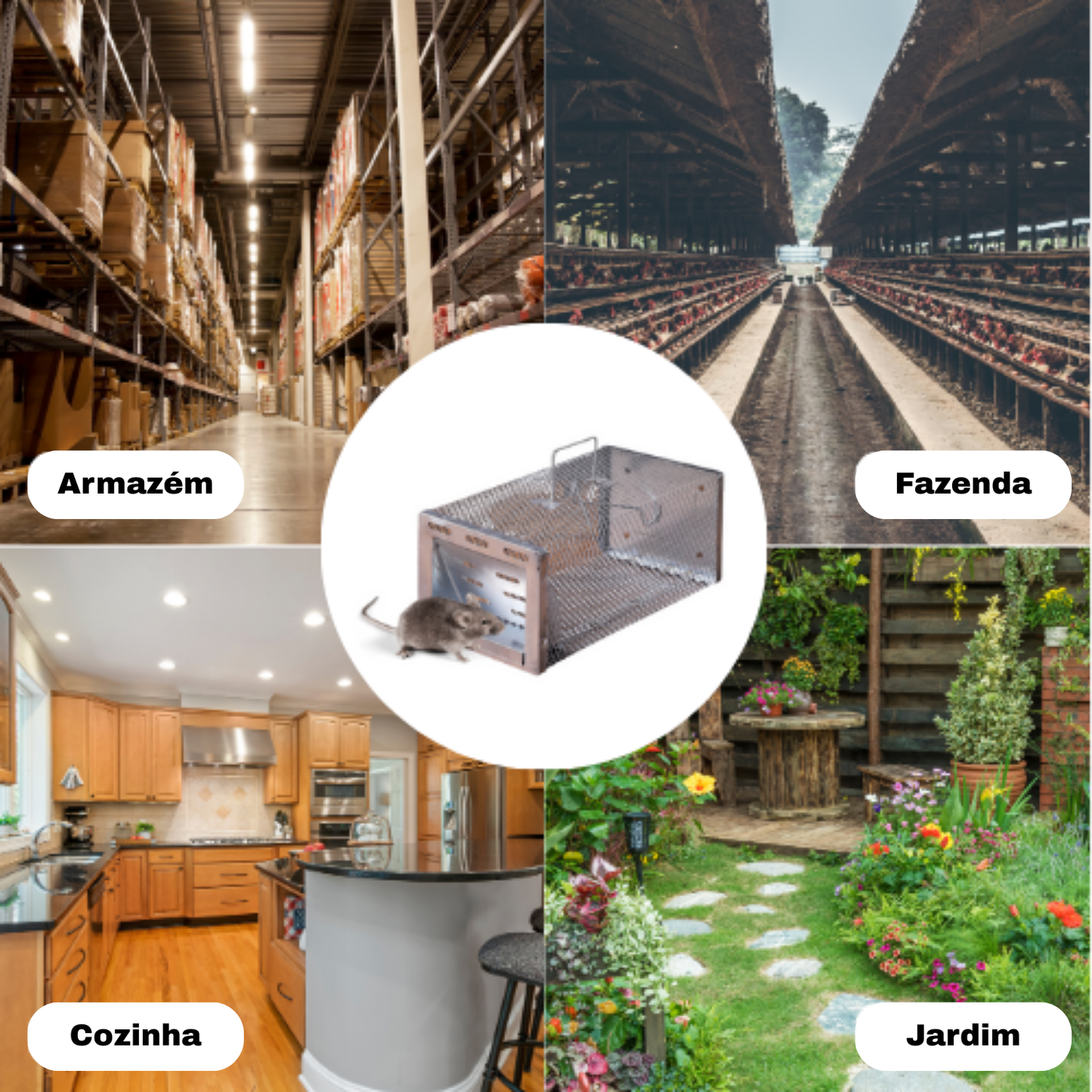 BestSeller™ - Gaiola armadilha humanitária para ratos, ratinhos e esquilos vivos