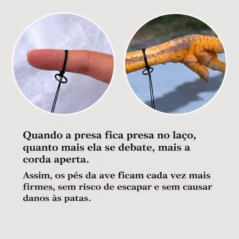 Armadilha para Aves de Tamanho Médio — Perfeita para Galinhas, Faisões, Patos e Mais