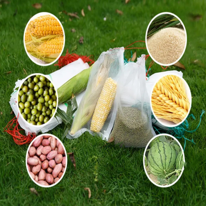 Sacos De Malha Respiráveis Reutilizáveis Para Proteção De Frutas E Vegetais – Proteja Contra Insetos, Moscas-Das-Frutas E Pássaros (TH)