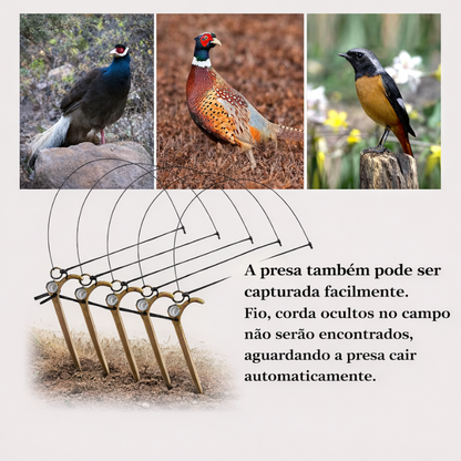 Armadilha para Aves de Tamanho Médio — Perfeita para Galinhas, Faisões, Patos e Mais