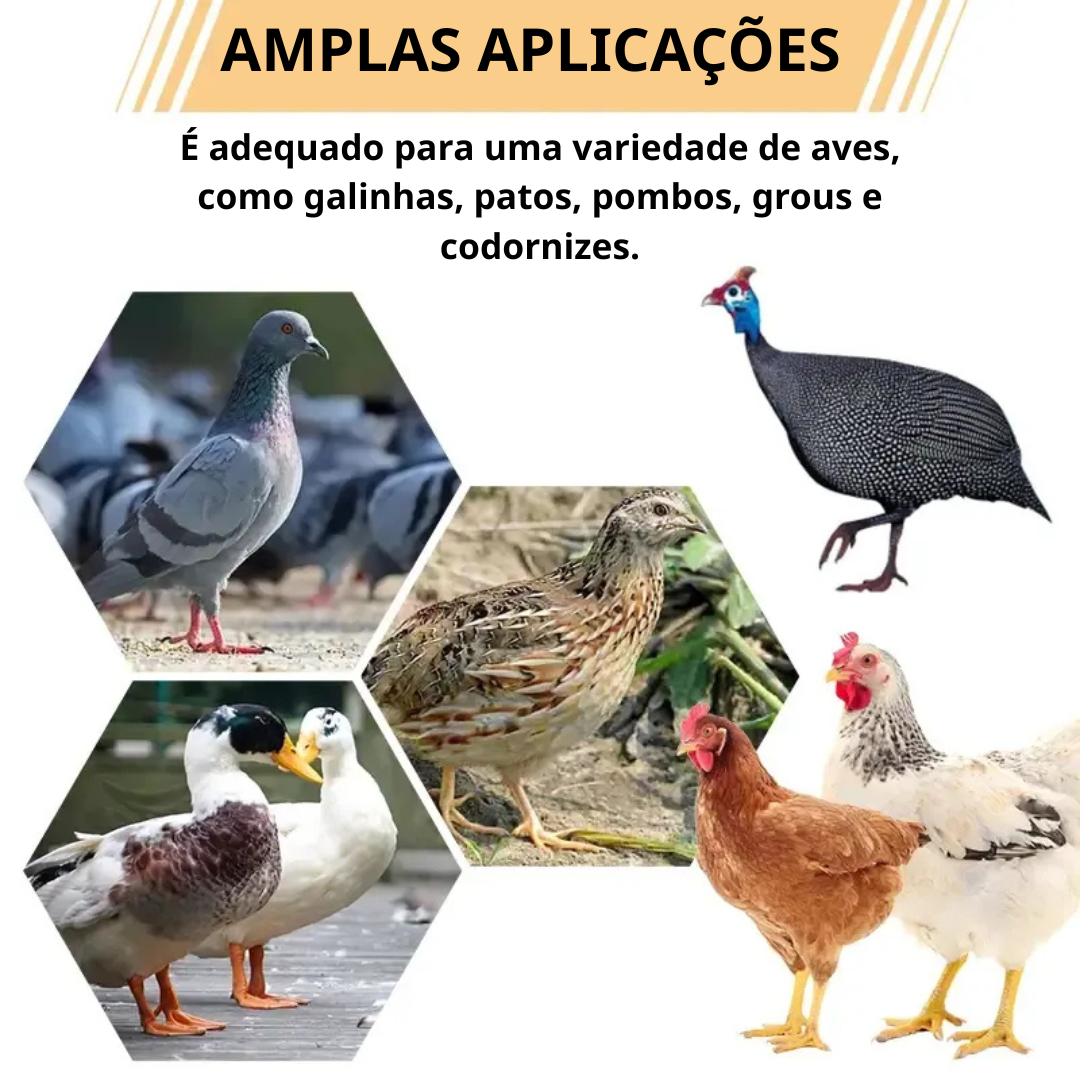 Porta De Alimentação Automática Para Galinhas E Patos Para Todos Os Tipos De Baldes – Inclui Broca Serra Copo