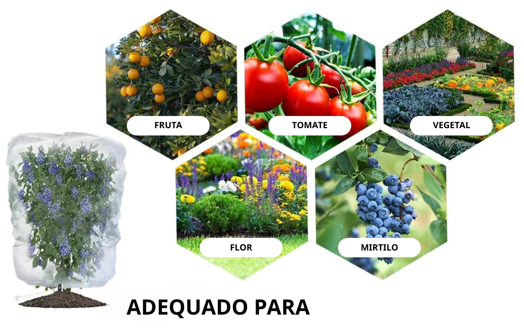 Sacos De Malha Respiráveis Reutilizáveis Para Proteção De Frutas E Vegetais – Proteja Contra Insetos, Moscas-Das-Frutas E Pássaros (TH)