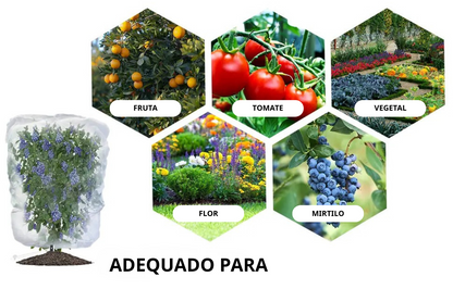 Sacos De Malha Respiráveis Reutilizáveis Para Proteção De Frutas E Vegetais – Proteja Contra Insetos, Moscas-Das-Frutas E Pássaros (TH)