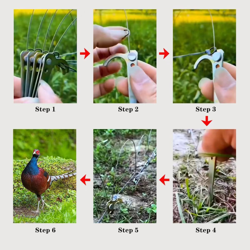 Armadilha para Aves de Tamanho Médio — Perfeita para Galinhas, Faisões, Patos e Mais