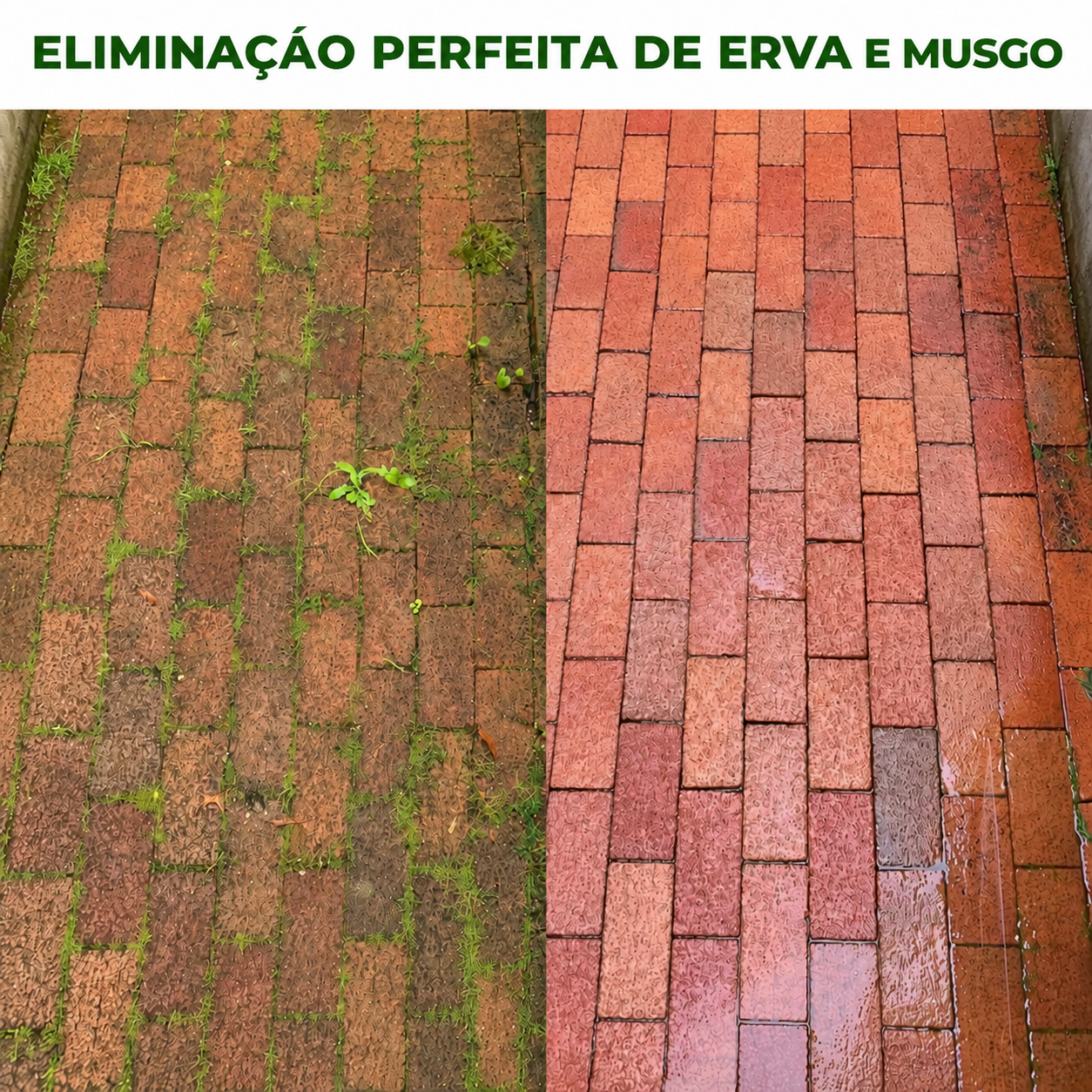 Cabeça de Roçadeira com 6 Lâminas de Fio de Aço Trançado de Alta Resistência