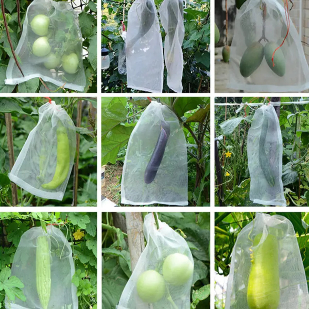 Sacos De Malha Respiráveis Reutilizáveis Para Proteção De Frutas E Vegetais – Proteja Contra Insetos, Moscas-Das-Frutas E Pássaros (TH)