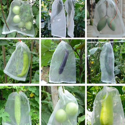 Sacos De Malha Respiráveis Reutilizáveis Para Proteção De Frutas E Vegetais – Proteja Contra Insetos, Moscas-Das-Frutas E Pássaros (TH)