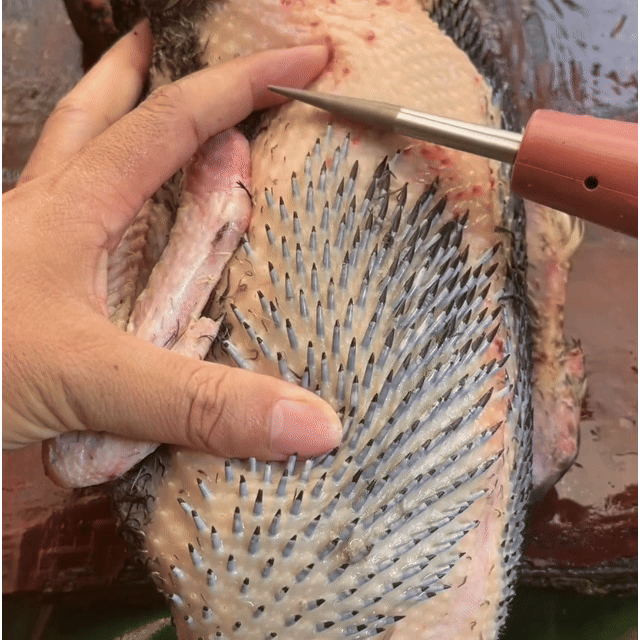 Depenador De Aves Portátil E Manual – Prático e Rápido