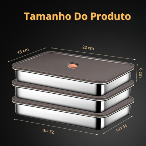 Recipiente Hermético Multifuncional Em Aço Inoxidável 316 (22x15x6cm)