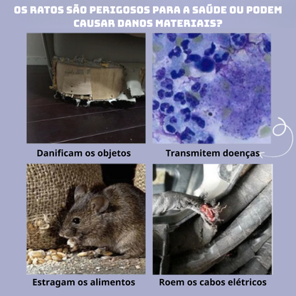 BestSeller™ - Gaiola armadilha humanitária para ratos, ratinhos e esquilos vivos