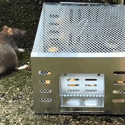 BestSeller™ - Gaiola armadilha humanitária para ratos, ratinhos e esquilos vivos