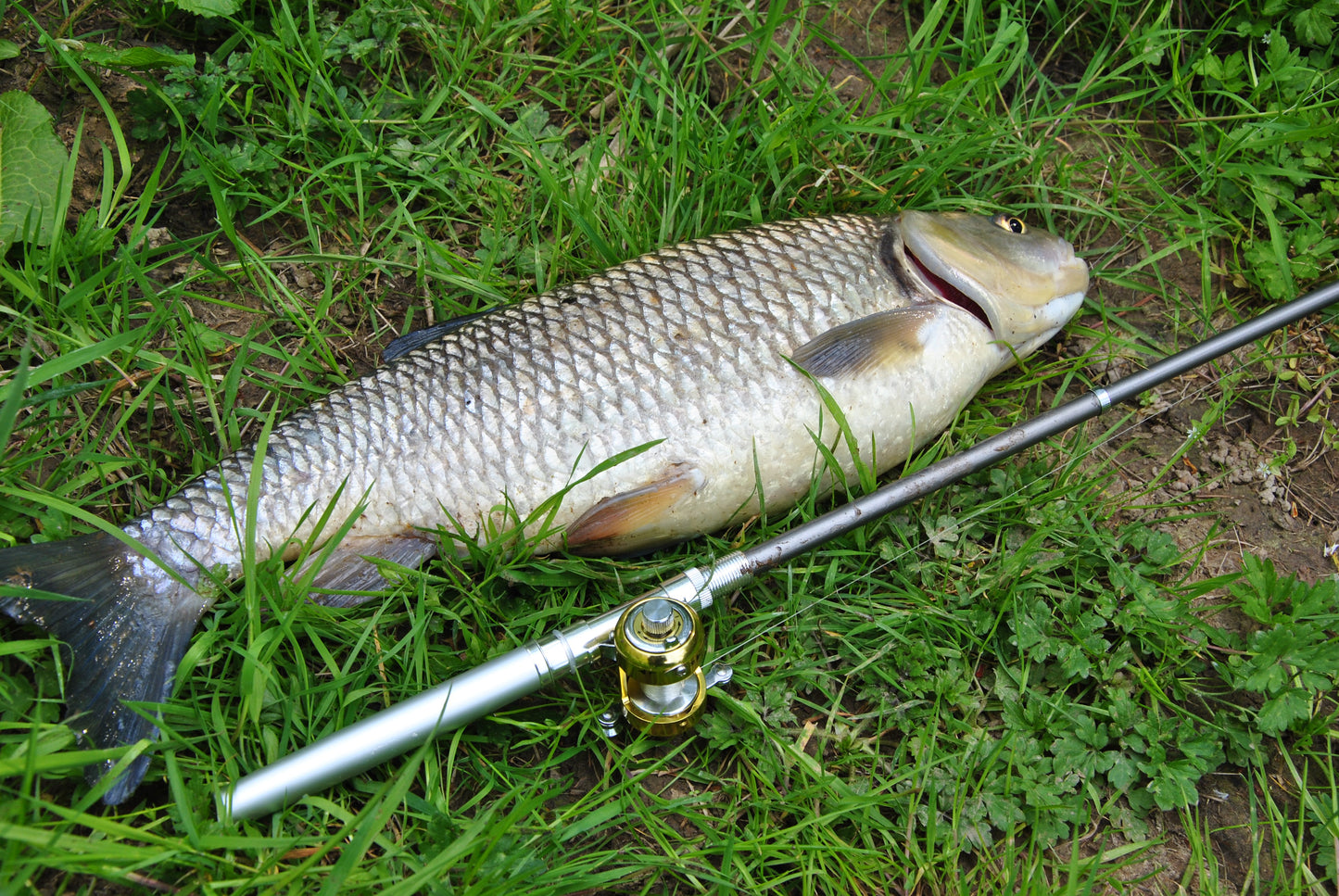 Conjunto De Vara De Pesca Com Carretilha Mini Telescópica De Bolso + Carretilha